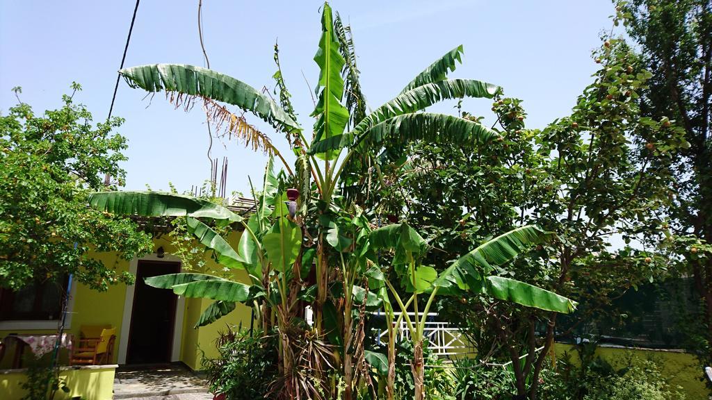 Hotel Mando Marathokampos Exterior photo